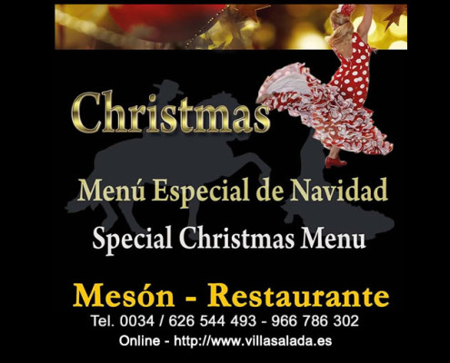 Special CHRISTMAS SHOW & Flamenco