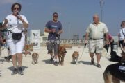 Dog Park Opening Celebration