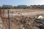Land cleared at the Commercial Centre