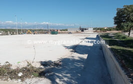 Chinese Superstore Flattened: 29Nov21
